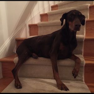 Meet your Posher, Heather